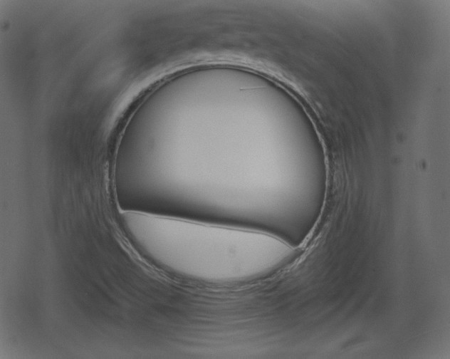 X0000078851503200611130921