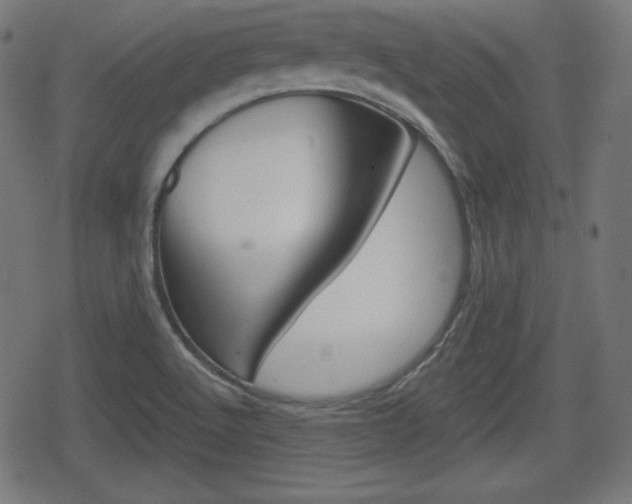 X0000078851512200611130922