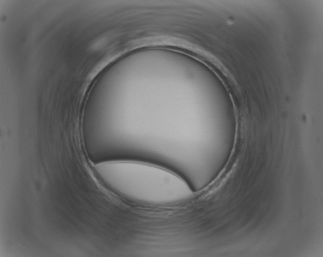 X0000078851513200611130922