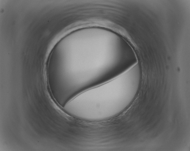 X0000078851516200611130922