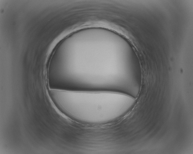 X0000078851519200611130922