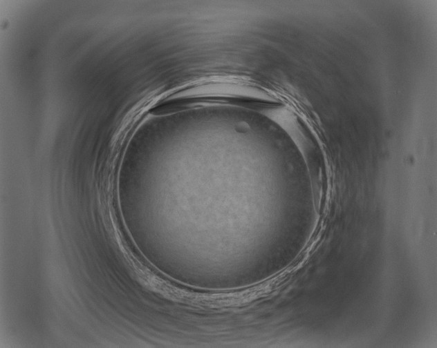 X0000078850001200611131149