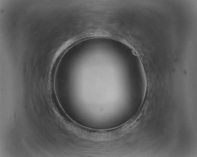 X0000078850008200611131149