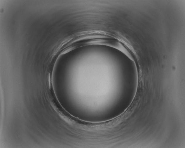 X0000078850013200611131149