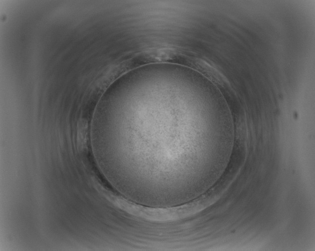 X0000078850030200611131149