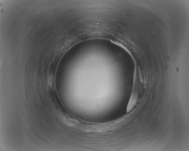X0000078850033200611131149