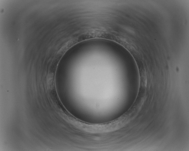 X0000078850034200611131149