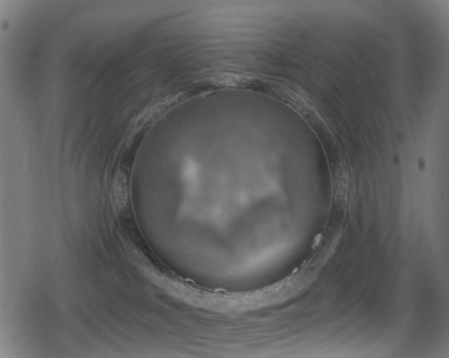 X0000078850043200611131149