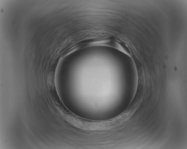 X0000078850044200611131149