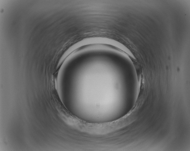X0000078850045200611131149