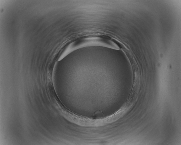 X0000078850048200611131149