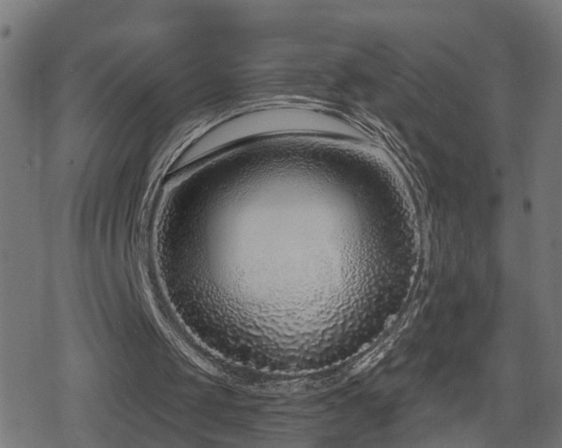 X0000078850049200611131148