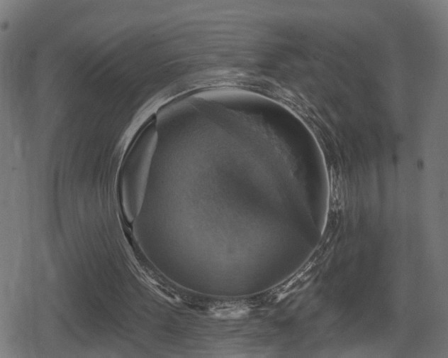 X0000078850099200611131148