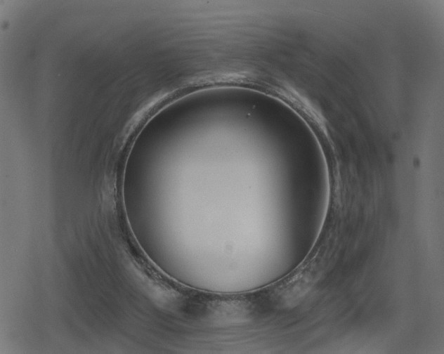 X0000078850107200611131148