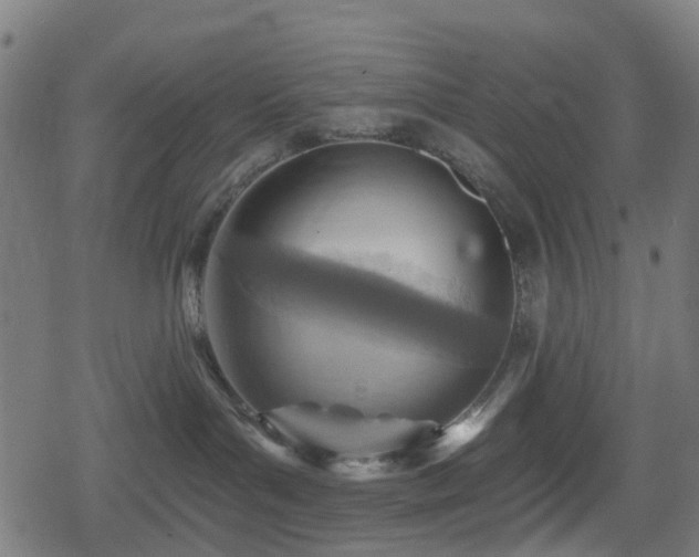 X0000078850143200611131147