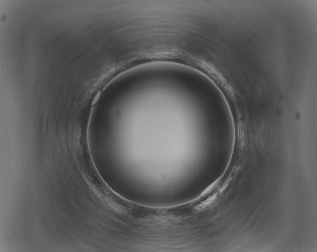 X0000078850201200611131146