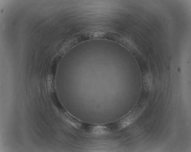X0000078850222200611131146
