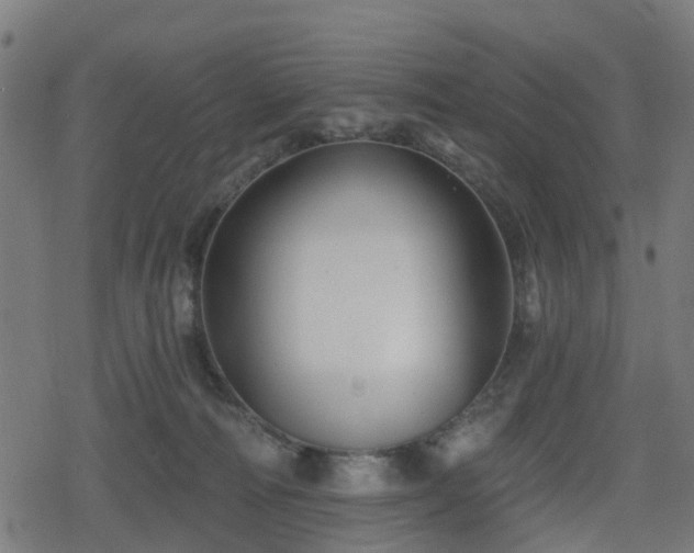 X0000078850226200611131146