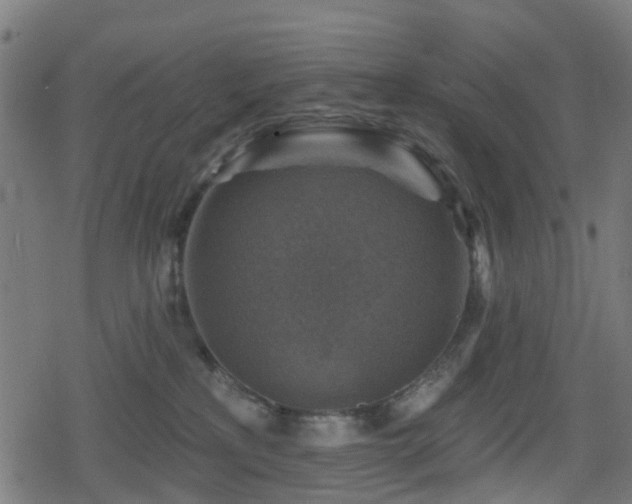 X0000078850233200611131146