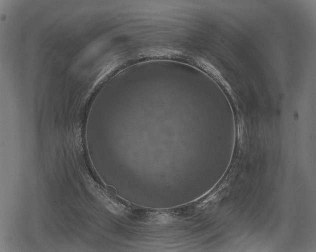 X0000078850249200611131145