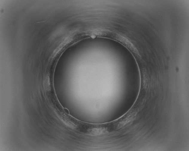 X0000078850251200611131145