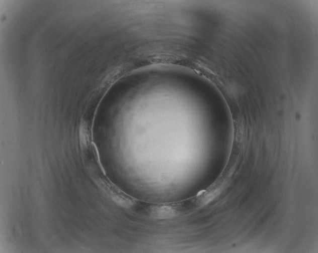 X0000078850287200611131145
