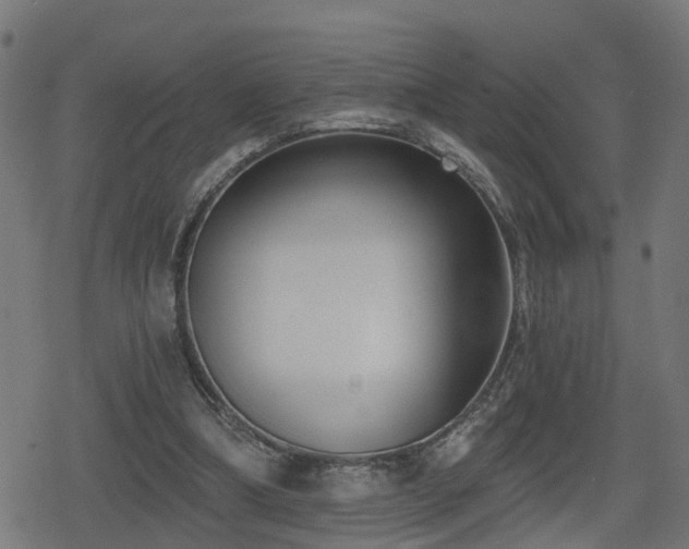 X0000078850298200611131145