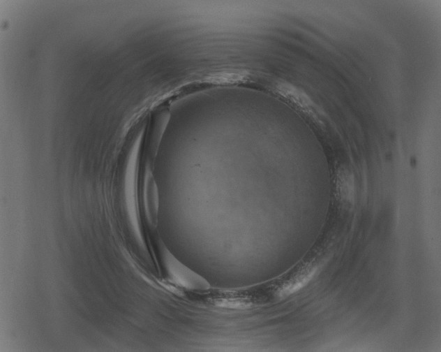 X0000078850303200611131145