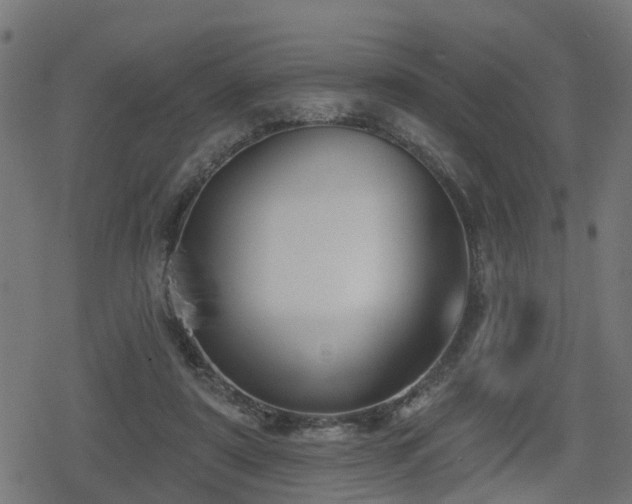 X0000078850307200611131144