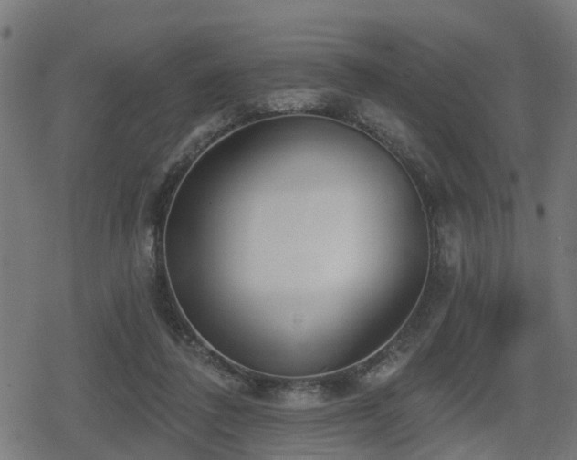 X0000078850308200611131144