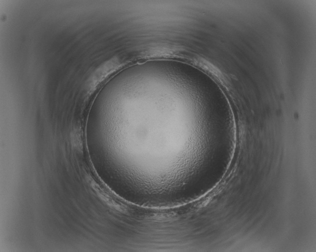 X0000078850345200611131143