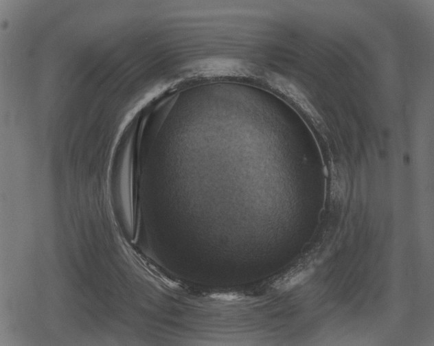 X0000078850391200611131143