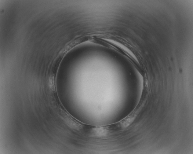 X0000078850425200611131143