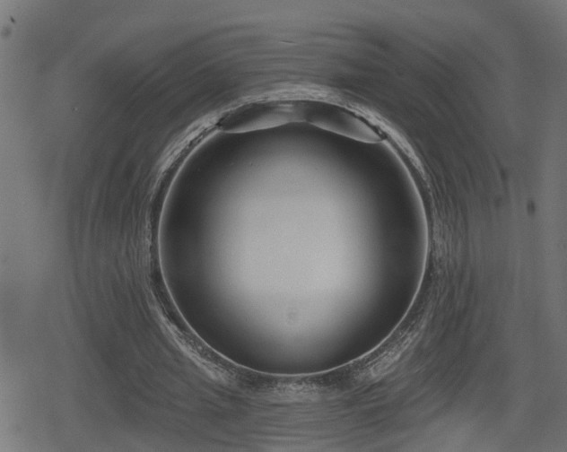 X0000078850437200611131142