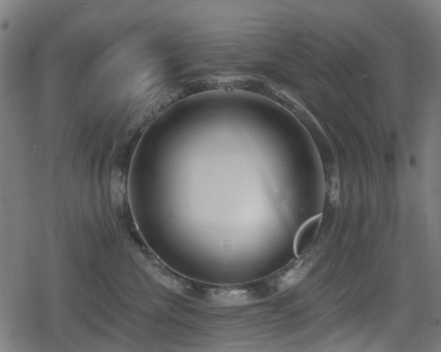 X0000078850476200611131142
