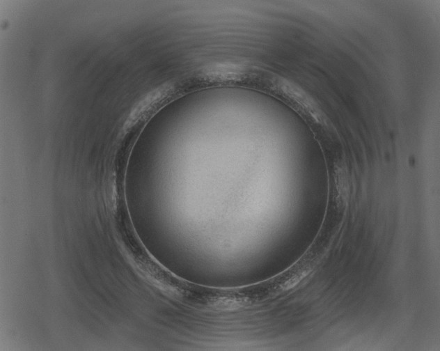X0000078850494200611131141