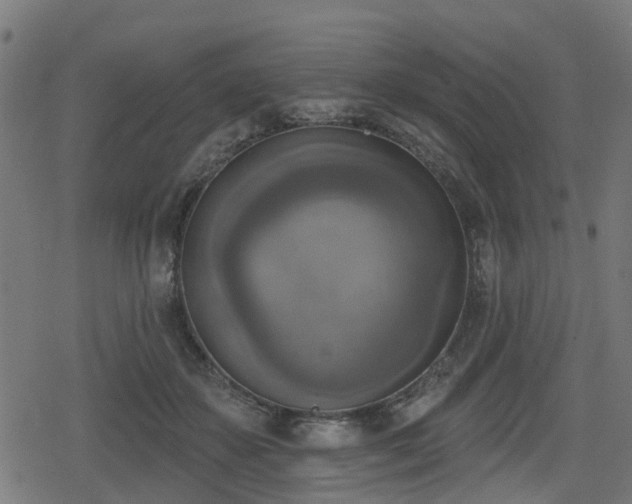 X0000078850507200611131141
