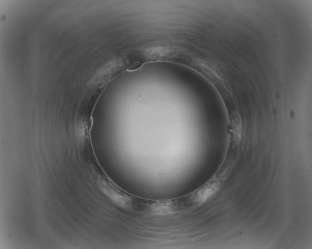 X0000078850574200611131141