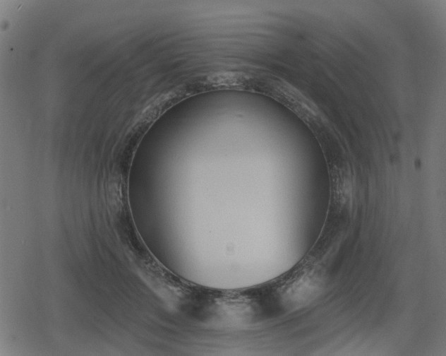 X0000078850603200611131140