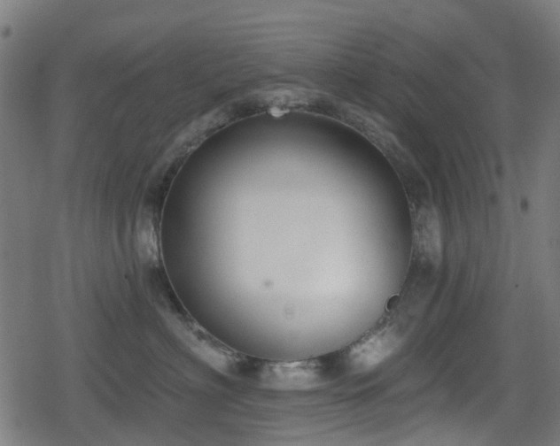 X0000078850622200611131139