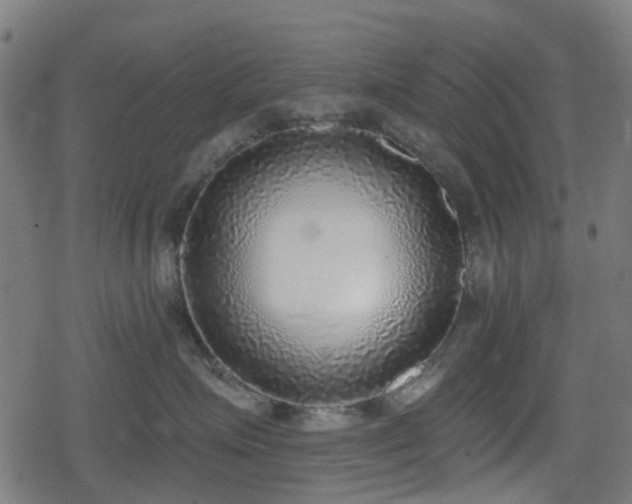 X0000078850623200611131139