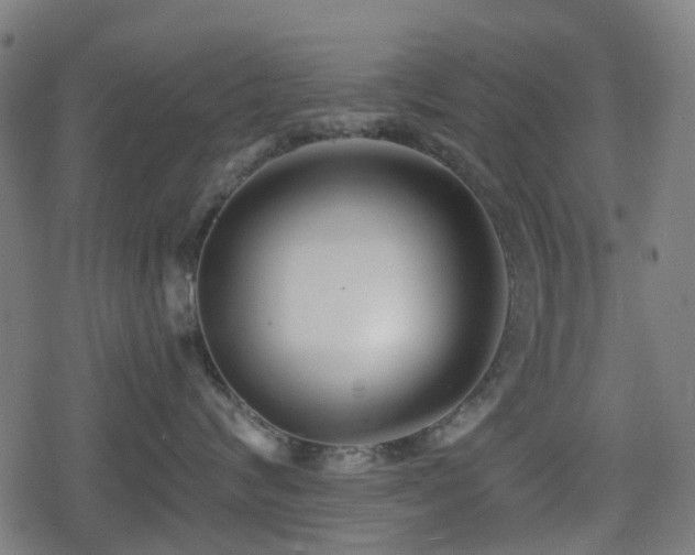 X0000078850624200611131139