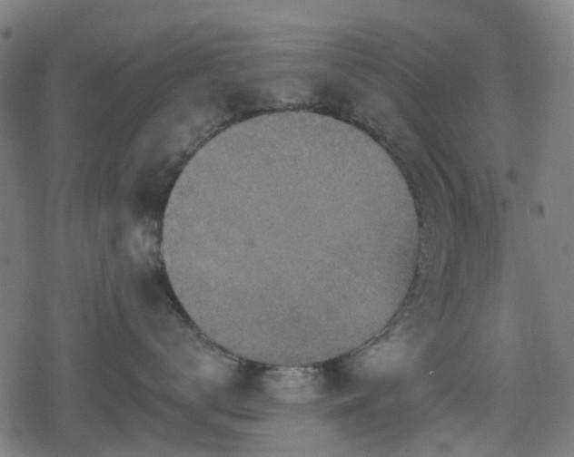 X0000078850672200611131139