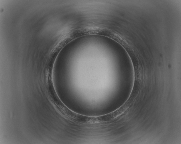 X0000078850742200611131137