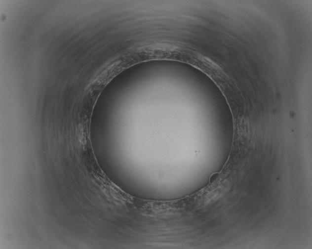 X0000078850774200611131137