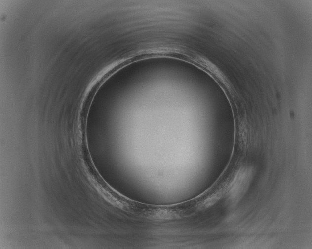 X0000078850787200611131137