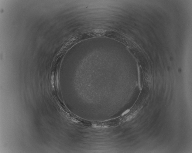 X0000078850818200611131135