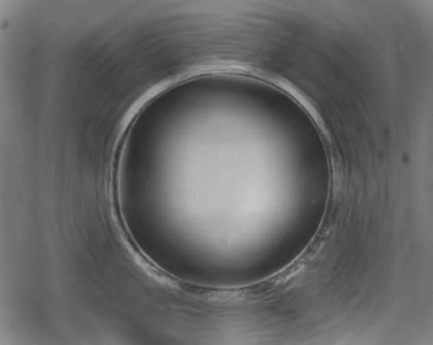 X0000078850861200611131136