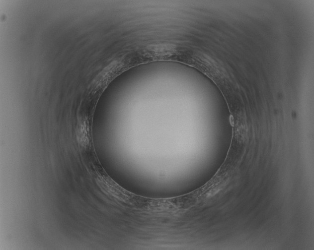 X0000078850866200611131135