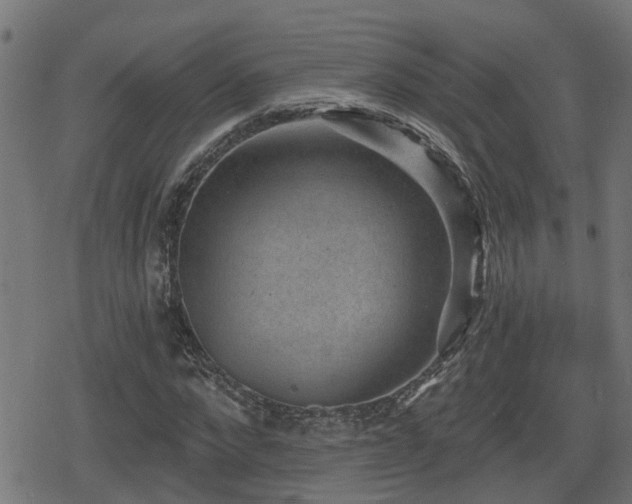 X0000078850872200611131135